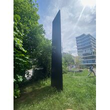 IMG_1949