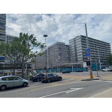 IMG_1939