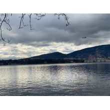 IMG_1299