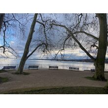 IMG_1297