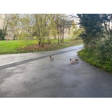 IMG_1296