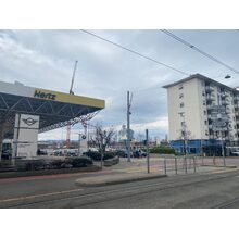 IMG_1241