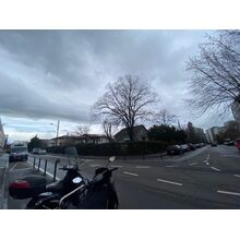 IMG_1061