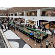 IMG_8314