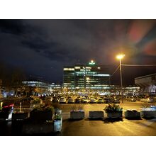 IMG_8293