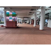 IMG_8268