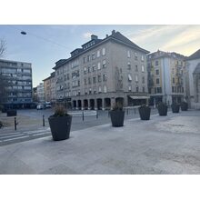 IMG_8246