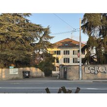 IMG_8244