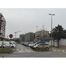 IMG_8113