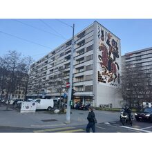 IMG_8041