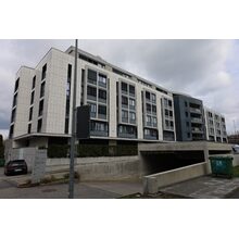 IMG_0153