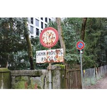 IMG_0174