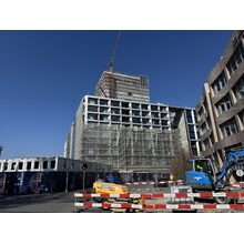 IMG_8392