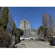 IMG_8390