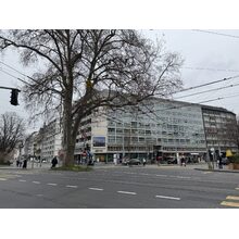 IMG_8360