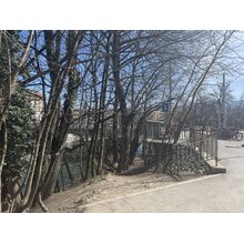 IMG_8440