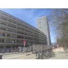 IMG_8439