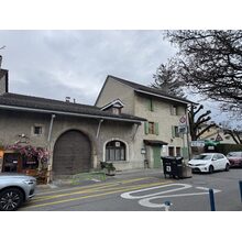 IMG_8553