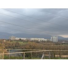 IMG_8544