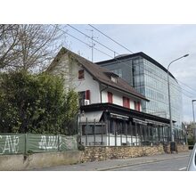 IMG_8521