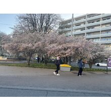 IMG_8614