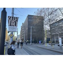 IMG_8610