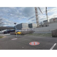 IMG_8590