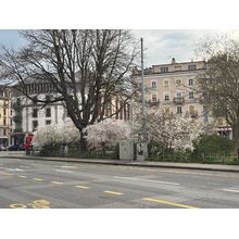 IMG_8509