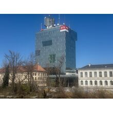 IMG_8441