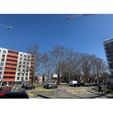 IMG_8424