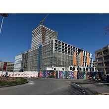 IMG_8391