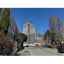 IMG_8390