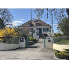 IMG_8630