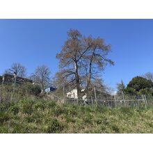IMG_8628