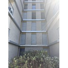 IMG_8625