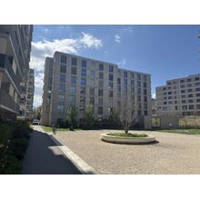 IMG_8622