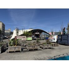 IMG_8769