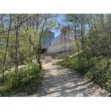 IMG_8765