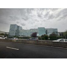 IMG_8858