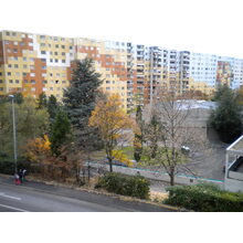 Vernier-Avanchets-30