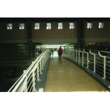 2009-05-13_13-12-22