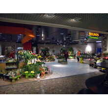 2010-04-09_08-34-13