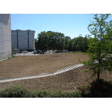 2010-06-05_13-34-07