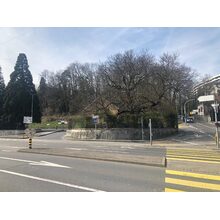 2019-04-01_12-43-50