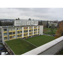 2012-11-27_16-27-30