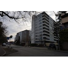 2025-03-08_08-32-08