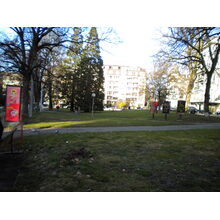 2010-03-02_17-47-17