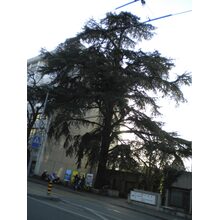 2010-03-02_17-49-37