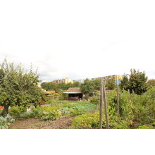 2010-09-09_11-56-14