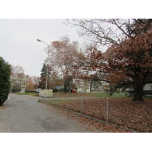 2012-11-19_13-00-43